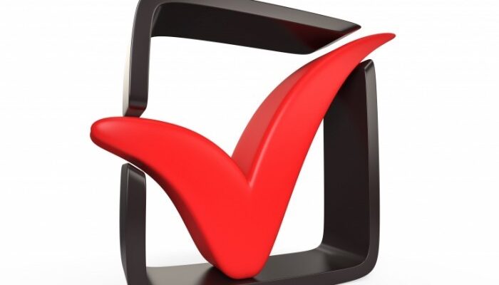 REG.RU запускает идентификацию через Госуслуги