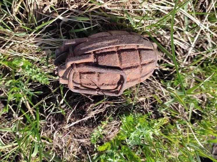 В Черемхово на приусадебном участке нашли две боевые гранаты