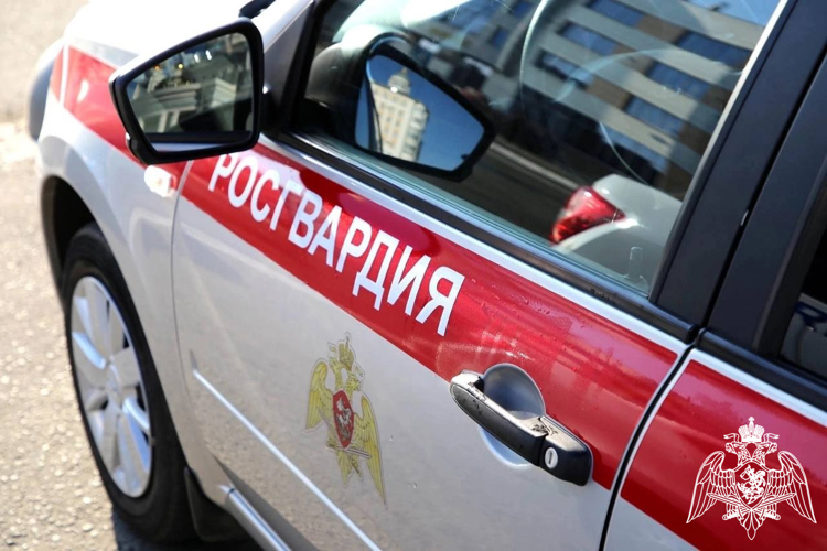В Мордовии росгвардейцы задержали женщину, по подозрению в совершении противоправных действий