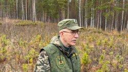 Инспектор Андрей Сакулин рассказал, что человек может заразиться бешенством через слюну или укус животного
