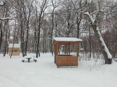 В Саратове на Кумысной поляне установят 10 новых беседок