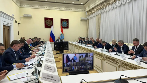Губернатор В. Федорищев прокомментировал изъятие коттеджей в Студеном овраге