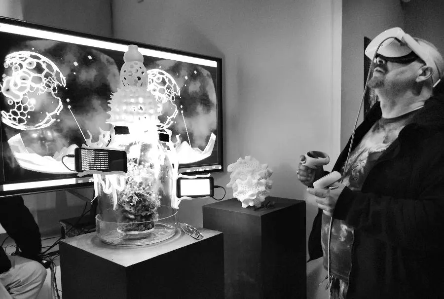 Погладить мох | ФОТО АВТОРА