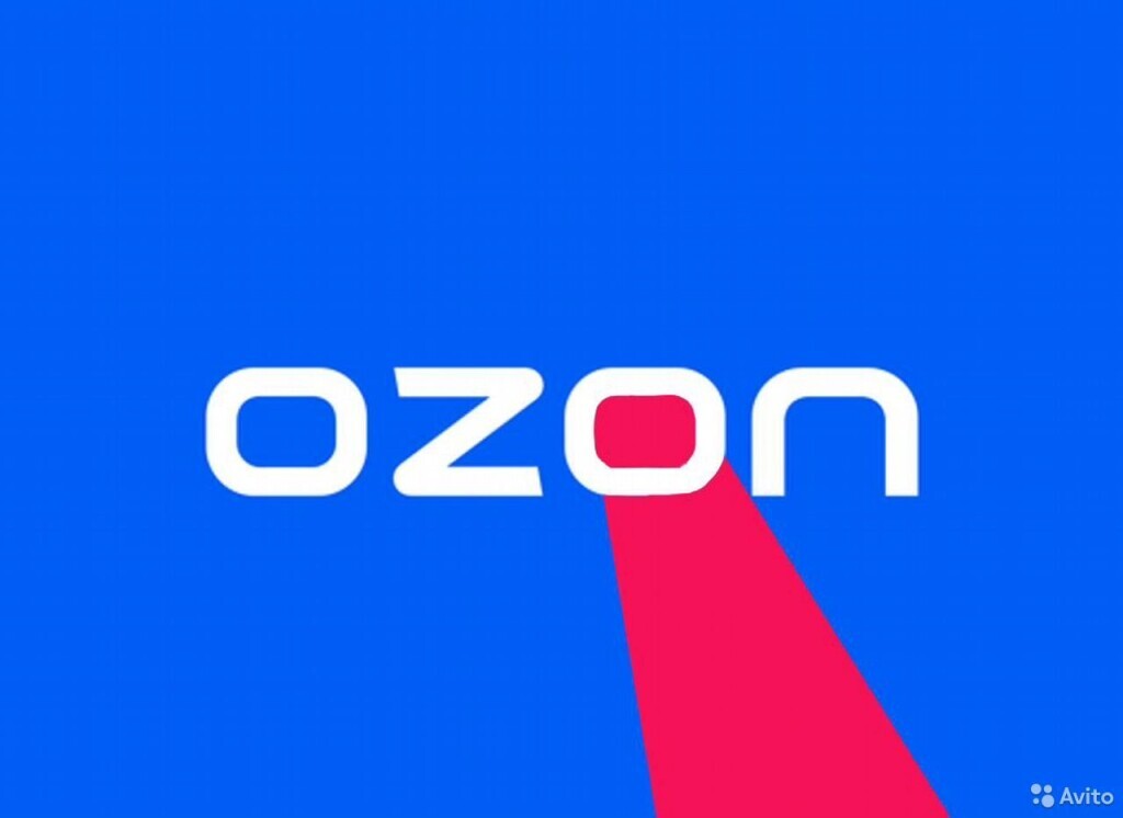 Ozon готовится к открытию офлайновых магазинов и партнерству со сторонними банками