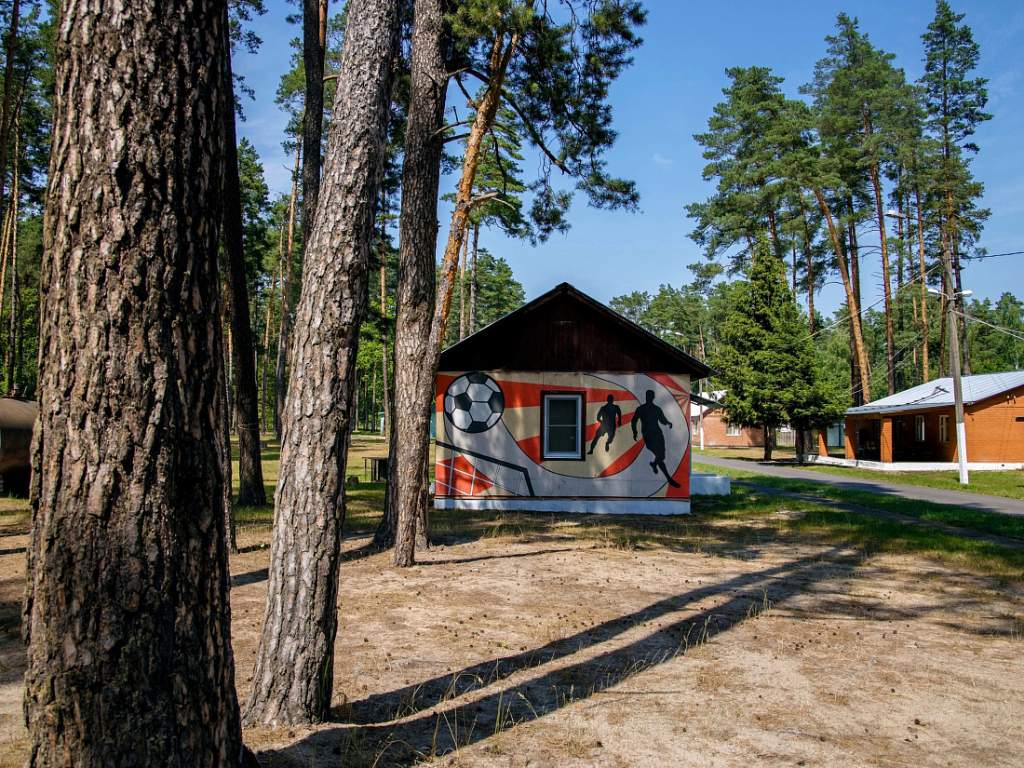 В Курской области до 25 мая можно получить кешбэк за путевки в детские лагеря