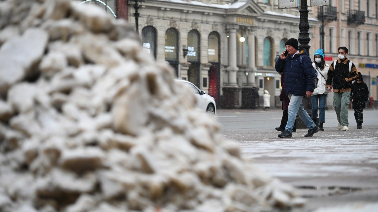 Очередь в музей зимой СПБ