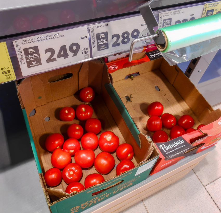 В Камышине свежие помидоры можно купить дешевле соленых