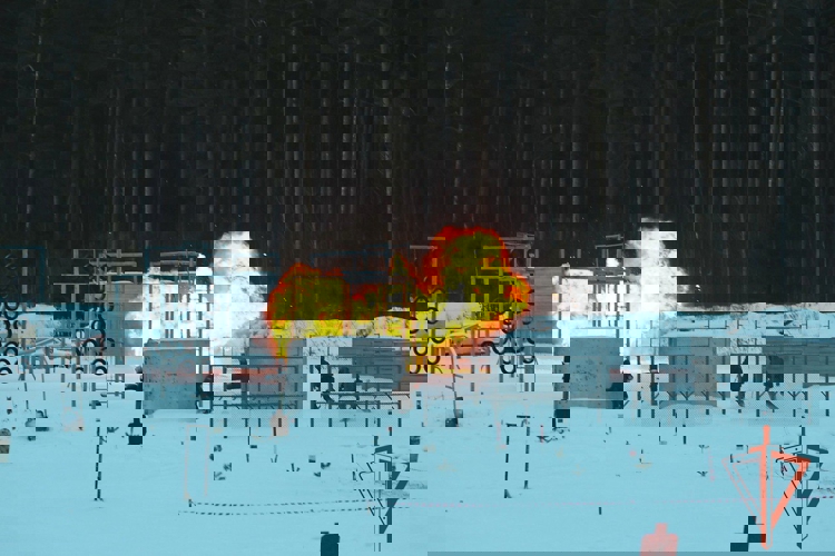 Оперативный сбор руководящего состава Сибирского ордена Жукова округа Росгвардии проходит в Томской области (видео)