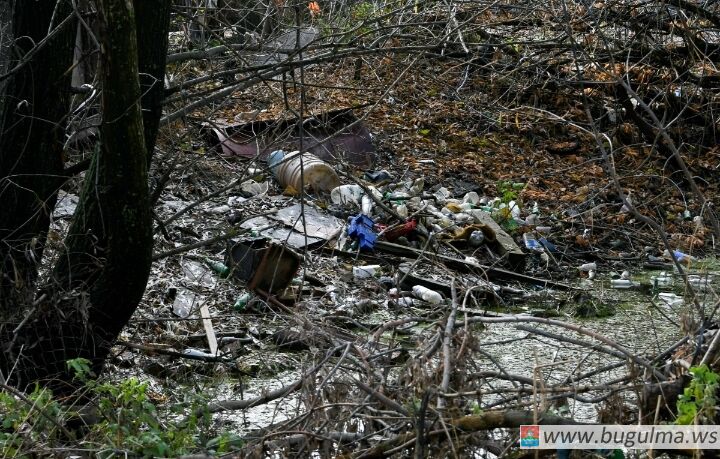 В Татарстане выявили 859 нелегальных свалок.
