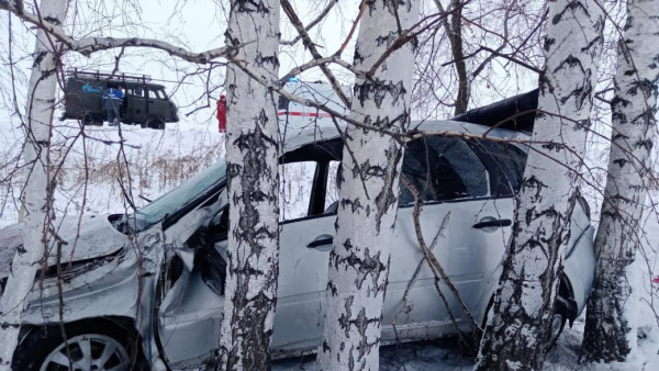 Самарская автоледи на Калине вылетела в кювет и врезалась в берёзы 14 декабря 