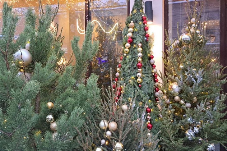 ​Жители Екатеринбурга могут срубить елку на Новый год и не получить штраф