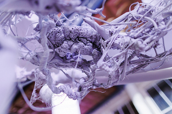 «Ивановское вещество» завоевало серебро премии WOW AWARDS 2025 