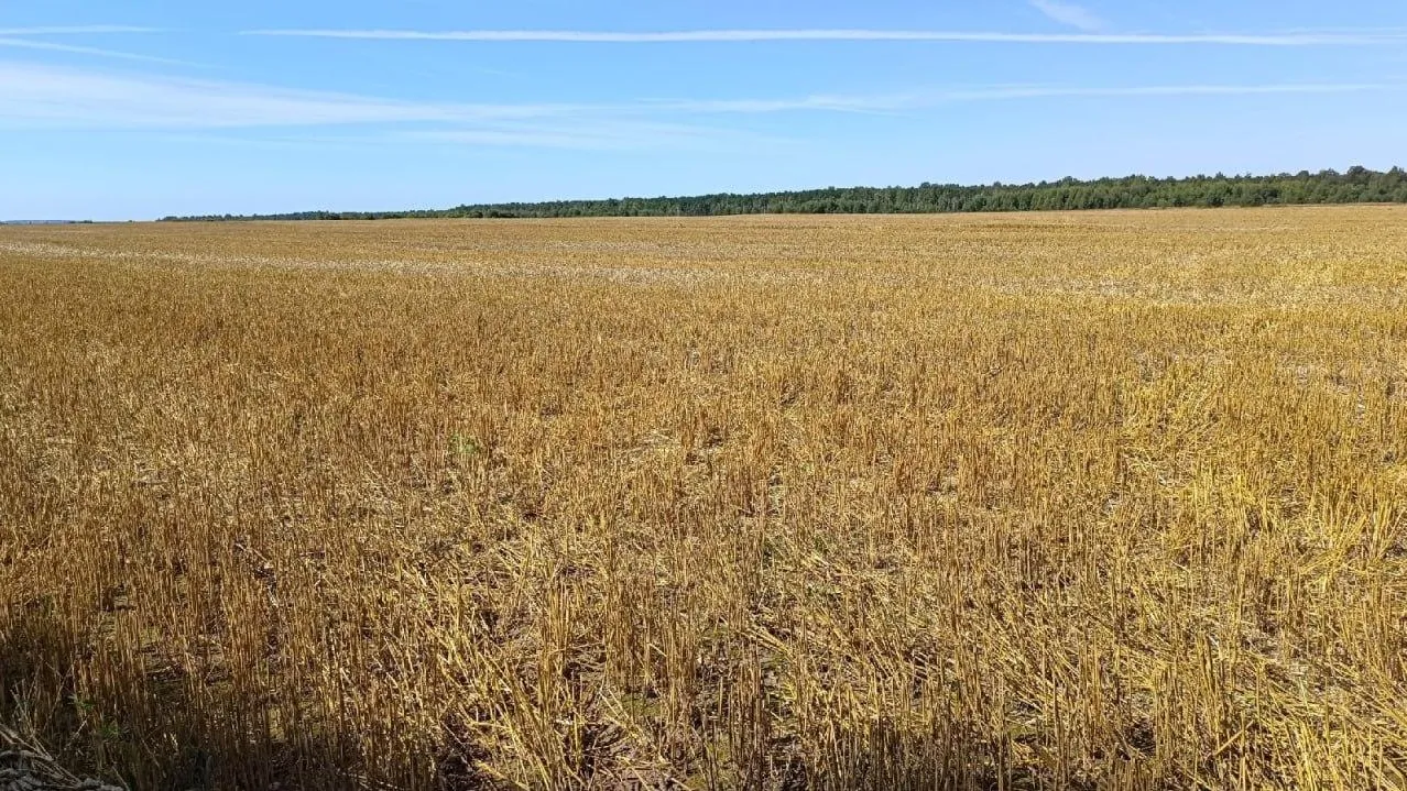 Земли населенных пунктов город. Земли сельхозназначения. Получить землю сельхозназначения. Получить землю сельхозназначения. Поле 30 гектаров.