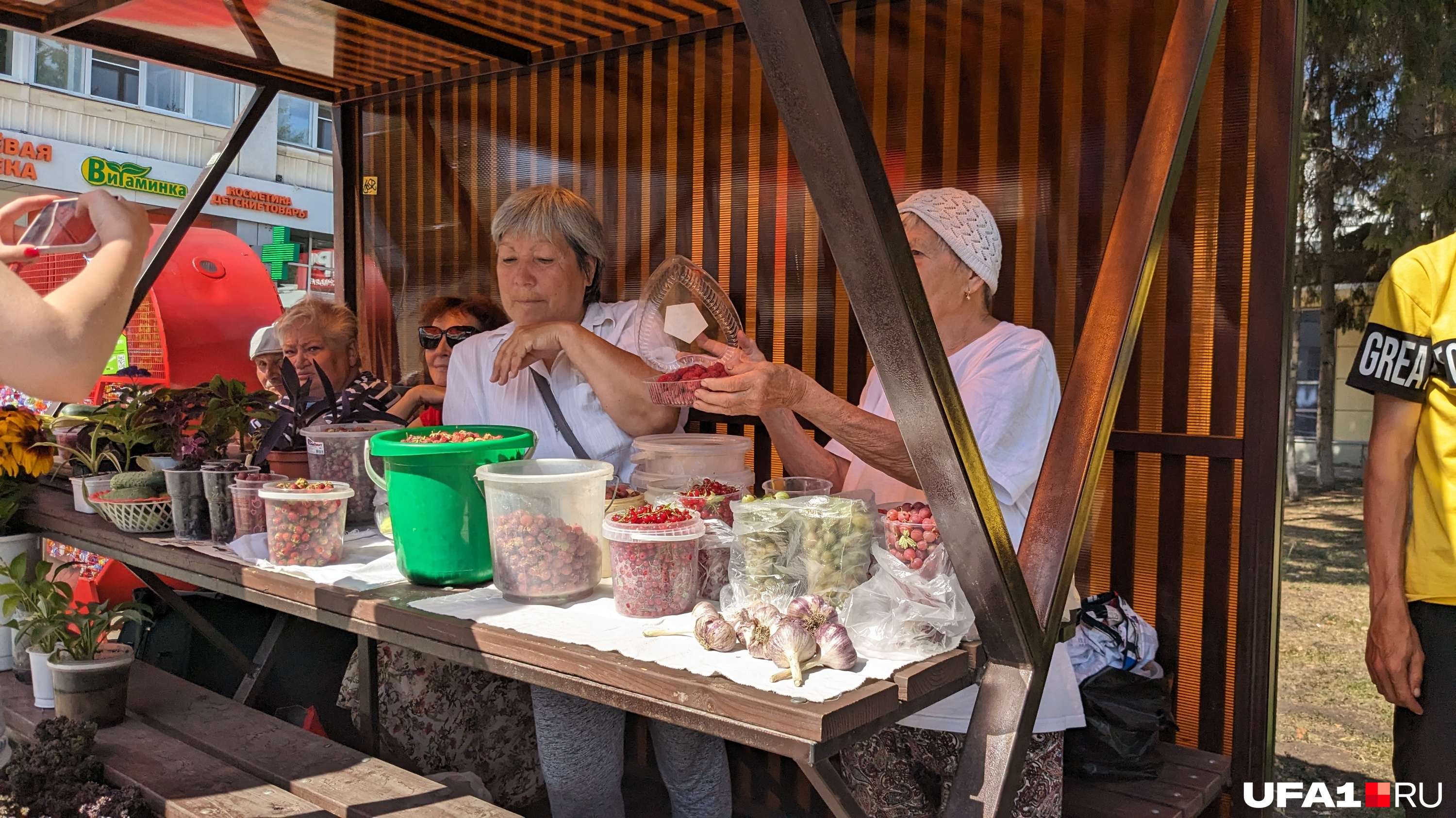 Продуктовый рынок. Центральный рынок. Продукты на рынке. Бабки на рынке.