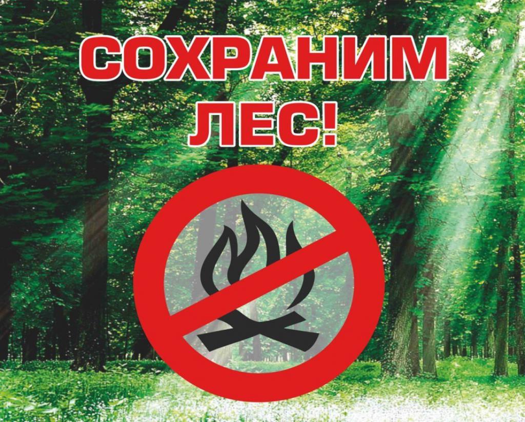 Картинки посещение леса запрещено