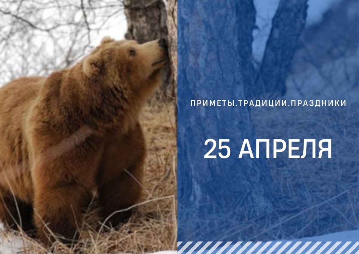 Приметы 25 апреля: как не попасть в беду в день Василия Парильщика