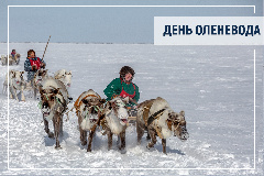 Поздравление председателя Таймырского Долгано-Ненецкого районного Совета депутатов Владимира Шишова с Днём оленевода