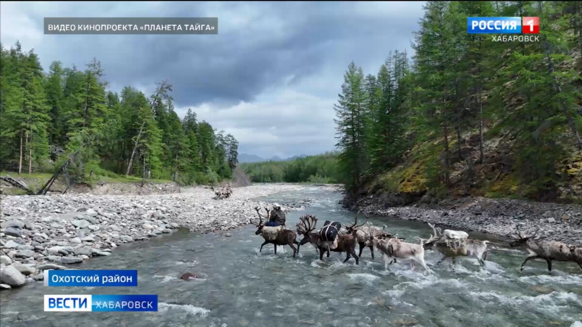 Жизнь последних оленеводов-отшельников увидели в Хабаровском крае участники проекта «Планета Тайга»