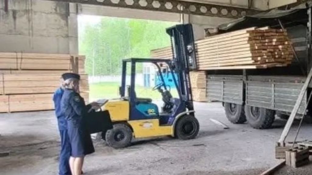 Брянские приставы конфисковали пиломатериалы у контрабандистов