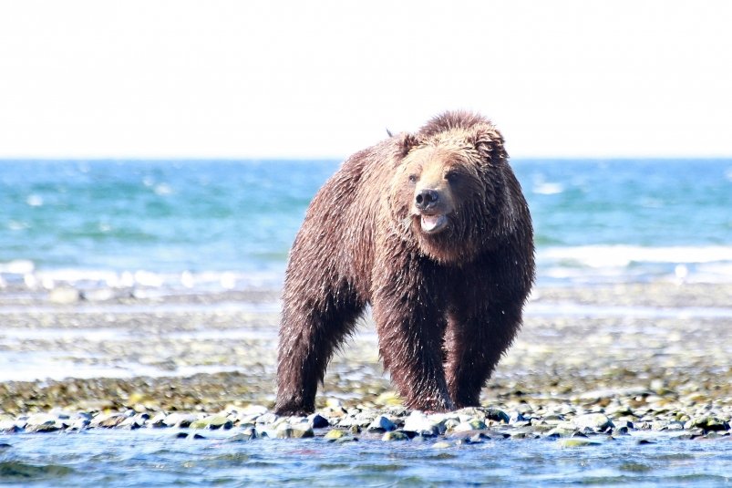 Тематическое фото ИА PrimaMedia