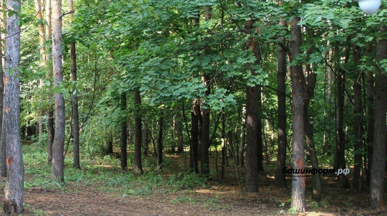 архив «Башинформа»