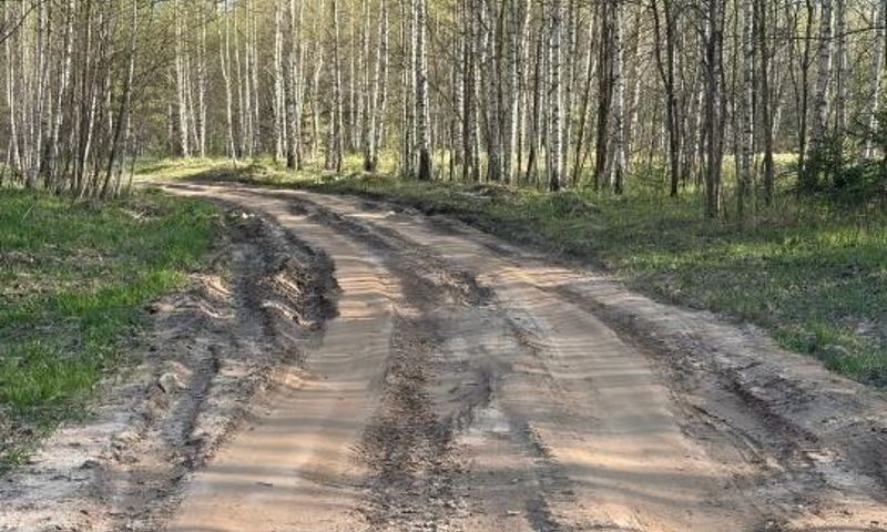 ​Дорогу Лахость – Рохмала в Ярославской области приведут в нормативное состояние в ближайшие дни