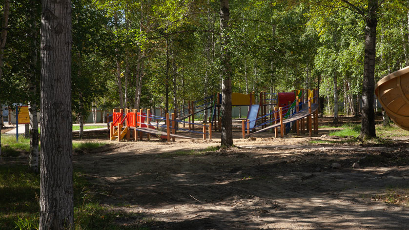 Тындинский парк «Багульник» планируют открыть для посетителей в ноябре - gtrkamur.ru