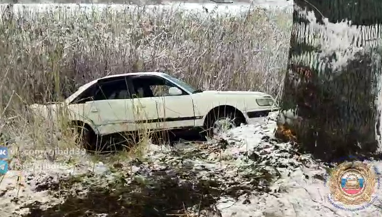 «Ауди» врезалось в дерево на дороге под Калининградом