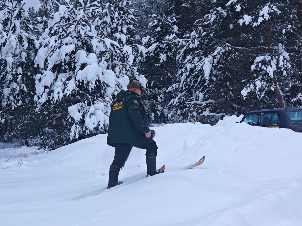 Пожары и нарушения под контролем: Орехово-Зуево готовит более трех тыс. лесных рейдов