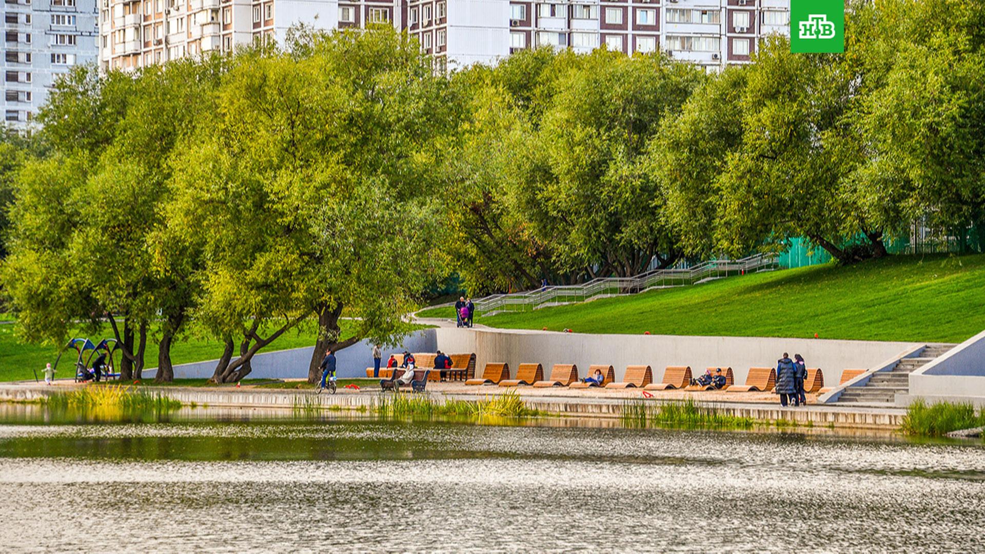 Беляево. Коньково. Москва. Парковый район 20.