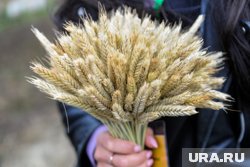 Китай ввел доптарифы в размере 10-15% на сельскохозяйственную продукцию США