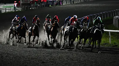 Конный спорт