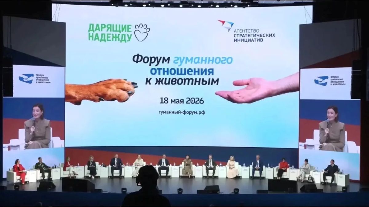 канал Владислава Шапши в Мах