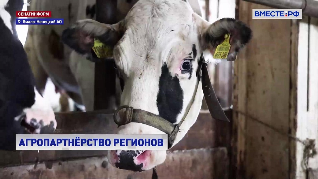 Local video