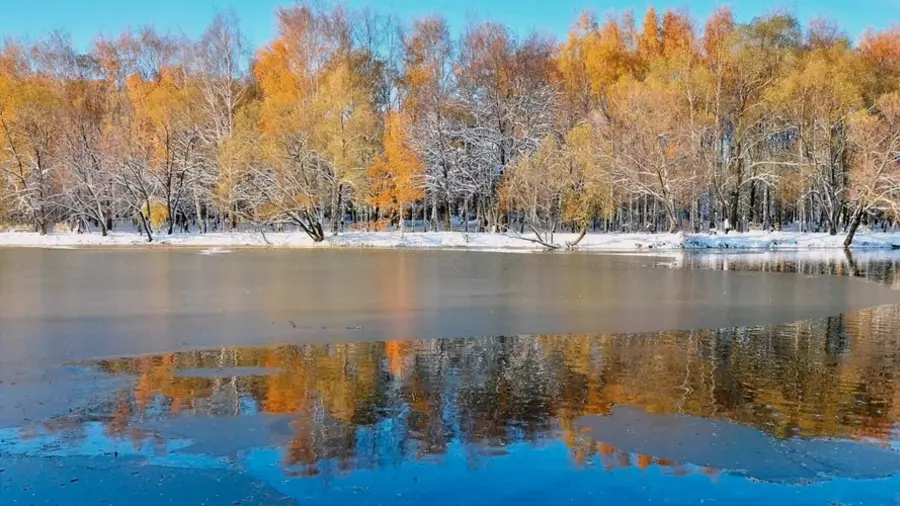 Первый ледок