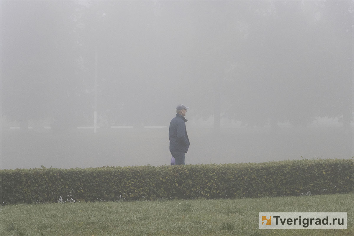 Русский язык 10 11 классы гольцова гдз. Усинский тракт в живописи. Молочный густой туман лежал. Русский язык 10 11 классы гольцова гдз. Молочный густой туман лежал.