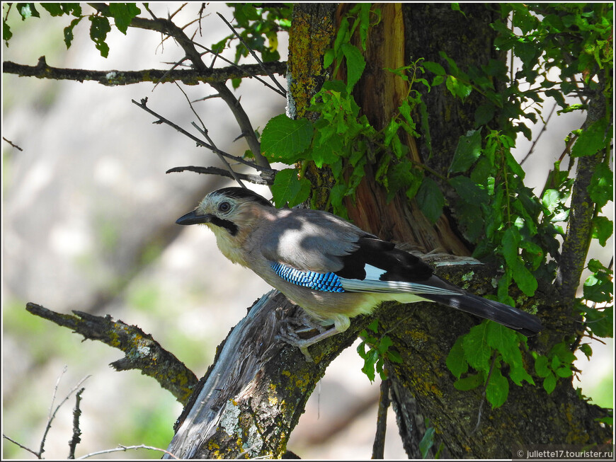 Гоор и Кахиб: древние и такие притягательные...