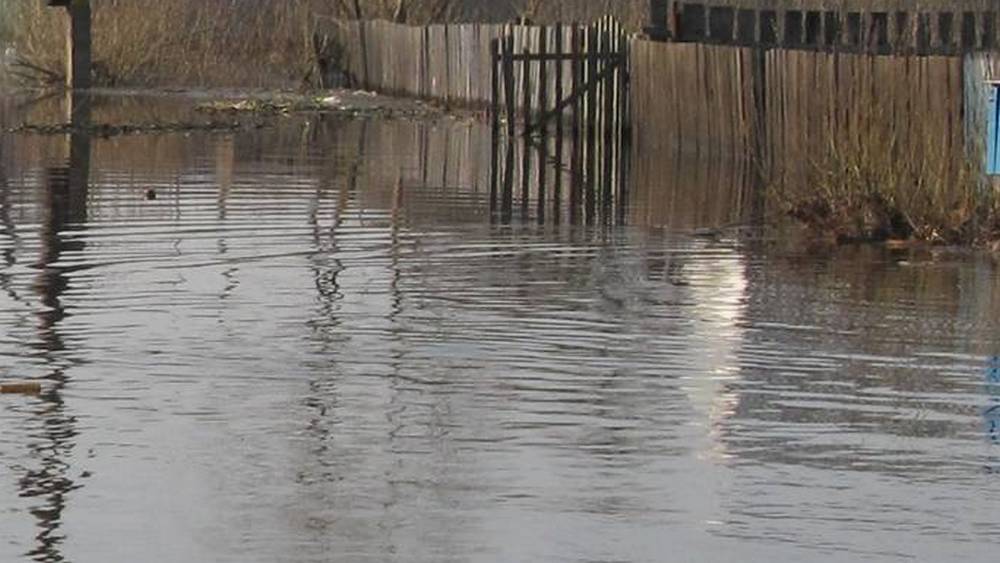 В Брянске уровень воды в Десне за сутки понизился на 7 см, в Болве – на 11 см
