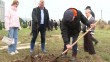 аллея-из-лип-артамонов-1025.jpg