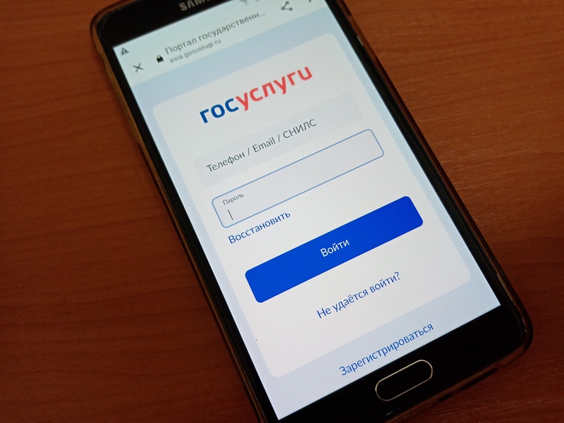 На Госуслугах запустили новый сервис Орловской области