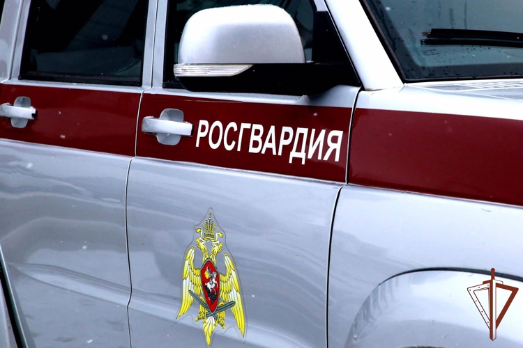 В Чебоксарах росгвардейцами предотвращена кража из продуктового магазина