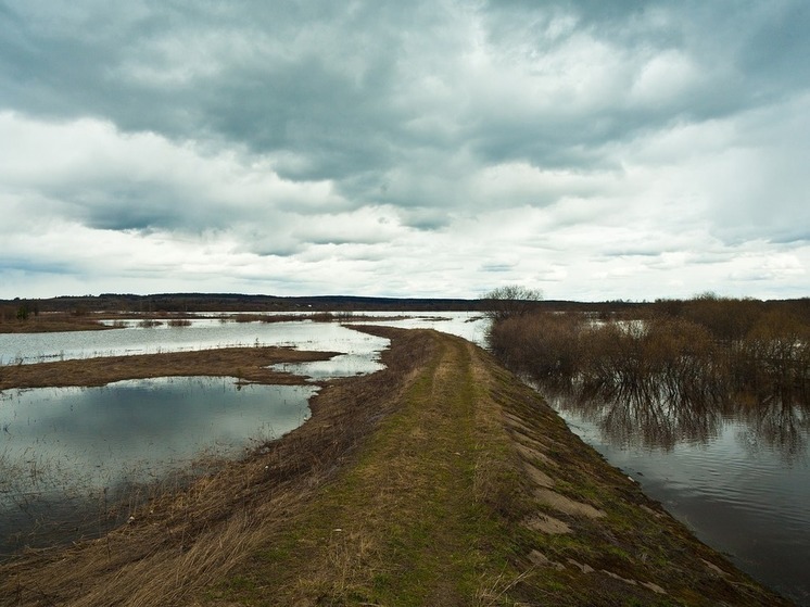 Напряженная обстановка из-за паводка сохраняется в некоторых районах Алтайского края