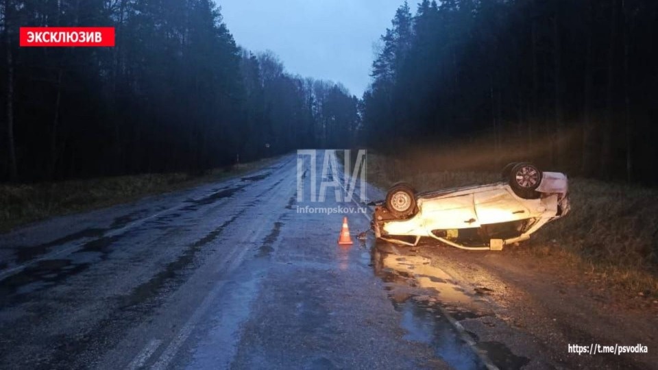 В Опочецком районе госпитализировали водителя опрокинувшегося автомобиля