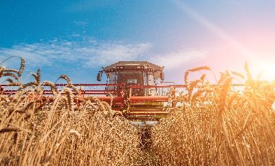 Саратовские хлеборобы приступили к уборке яровой пшеницы