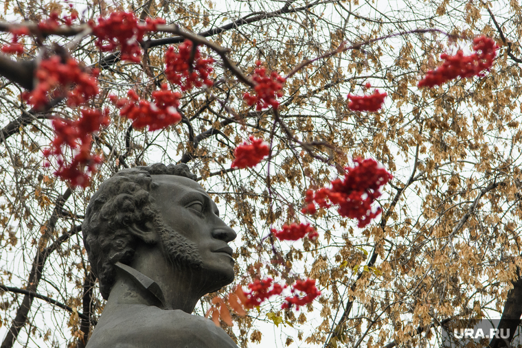 Уличный ремонт. Екатеринбург, рябина, памятник пушкину, осень