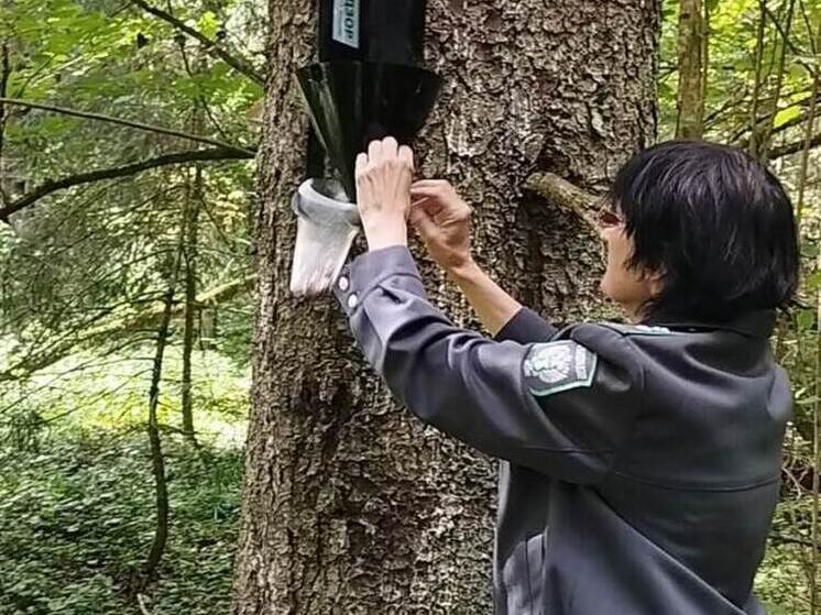 Более 460 тысяч гектар земли обследовали в Псковской области