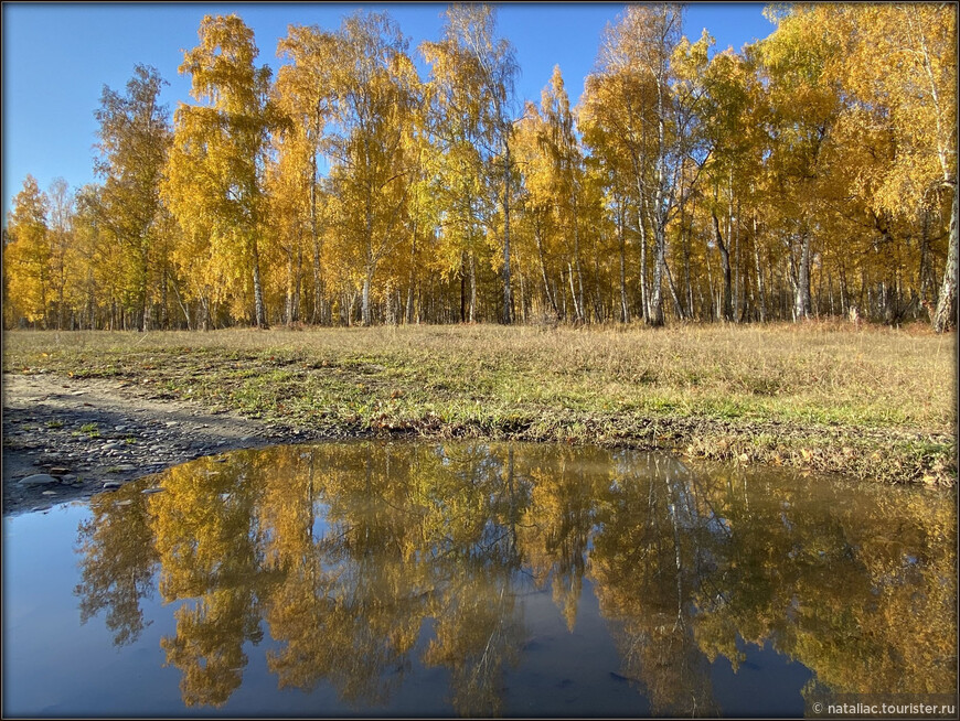 «Осенние краски Уймонской долины». Прощальный день: на гору Маяк с закрытыми глазами, посиделки на берегу Катуни и у костра в ночи 