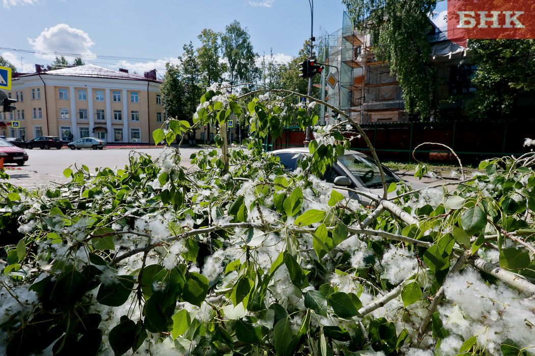 Погода коми сыктывкар на 3. Ледяной дождь. Град в Эжве. Арктический воздух. Ледяные дожди град.