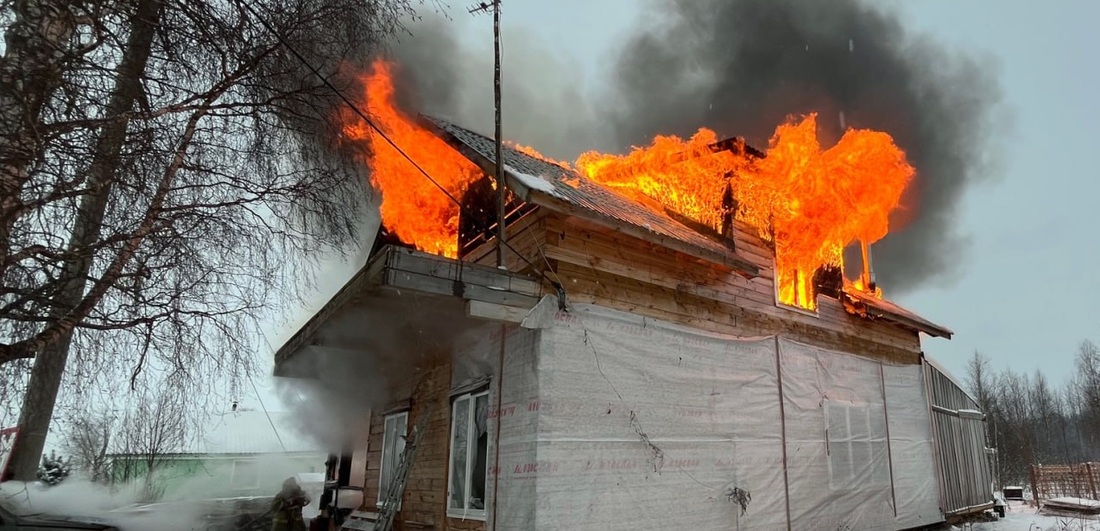 Собаку спасли из горящего дома в Вытегре