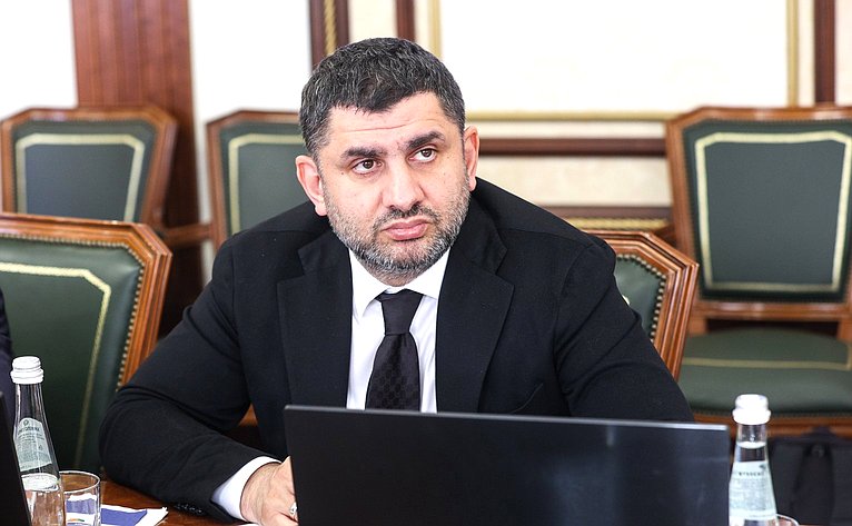 Встреча сенаторов РФ с депутатом Великого национального собрания Турции, председателем группы дружбы с Россией Великого национального собрания Турции Муратом Байбатуром